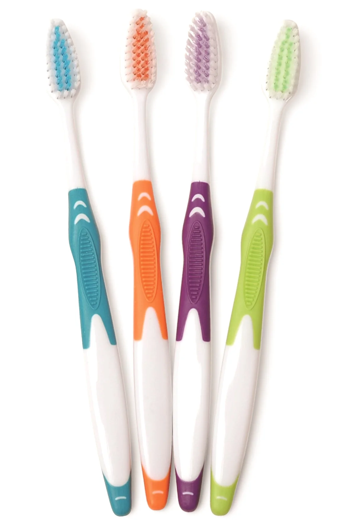 Freshmint 144-Count Premium Easy-Grip Toothbrush